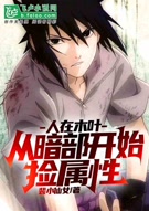 人在木叶 从暗部开始捡属性简介 其他小说 人在木叶 从暗部开始捡属性 全文免费在线阅读 侠客小说网