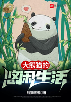 大熊猫的悠闲生活